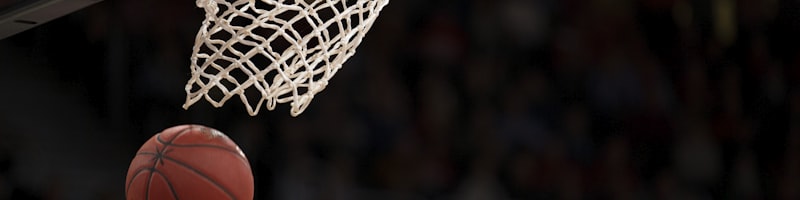 美国职业篮球联赛NBA Logo